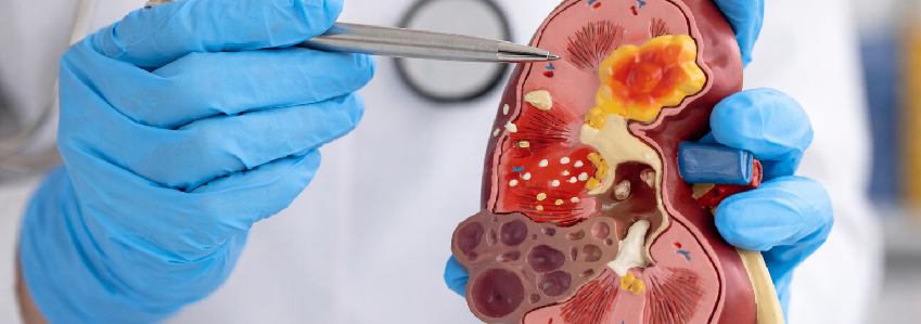 General Medical Care Banner